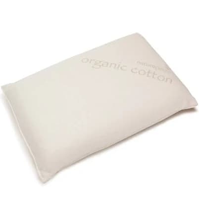 Pottery Barn Naturepedic Organic Solid Latex Pillow