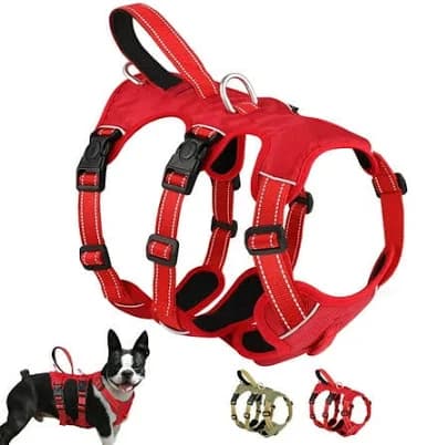 Didog No Pull Dog Harness