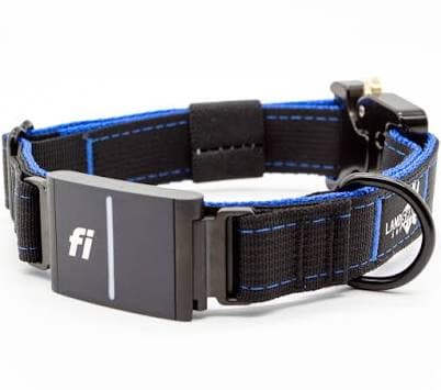 Fi Series 3 Landshark Sport Collar