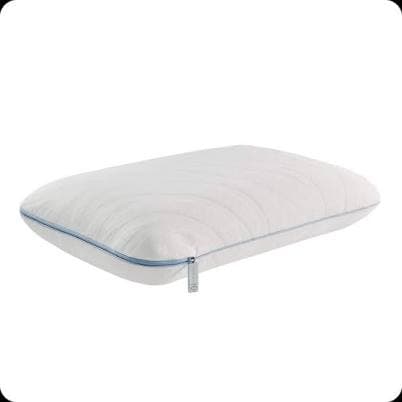 Sealy Dreamlife Memory Foam Pillow