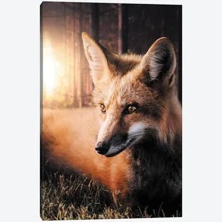 Canvas Art The Fox In The Forest By Zenja Gammer