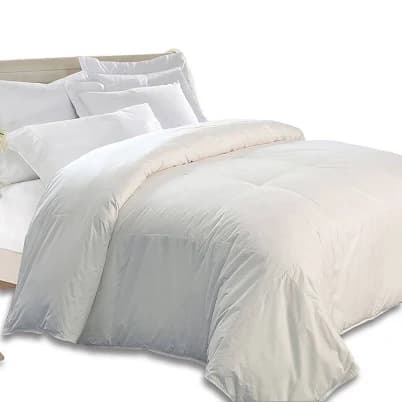 Kathy Ireland Eco Unbleached Down Comforter