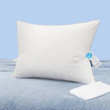 Natural Goose Down Pillows: Luxury Hotel Bed Pillow with 750 Fill Power, White Goose Down Sleeping Pillow with Pillowcase, Soft Pillow for Back,
