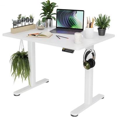 Height Adjustable Electric Standing Ergonomic Computer Desk