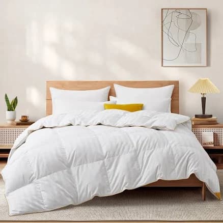 All Season 500TC White Goose Down Comforter Duvet Insert with 100% Cotton Cover - Queen