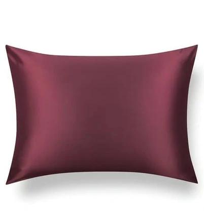 Tafts Silk Pillow Cases 22mm 100% Pure Mulberry 6A Silk Pillowcase for Hair & Skin with Zipper Closure