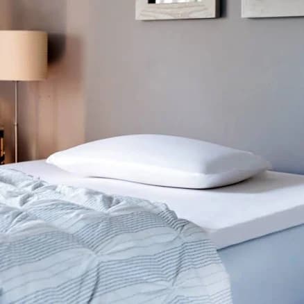 PureTree Organic Natural Latex Pillow