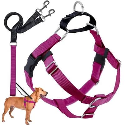 2 Hounds Design Freedom No Pull Dog Harness