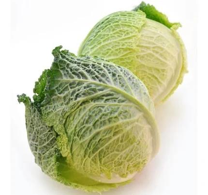 Savoy Cabbage