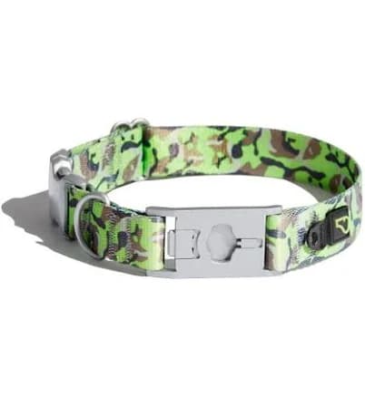 Whistle Go Explore 2.0 Dog Collar