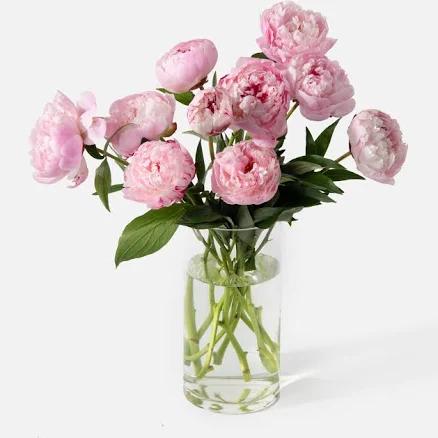 Valentine's Day Flower Delivery | The Peony Bouquet with Pink Peonies UrbanStems