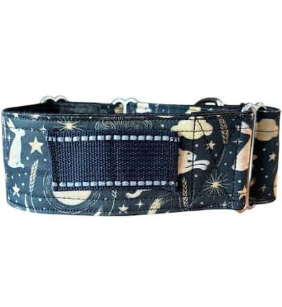 GPS tracker system from Tractive nylon strap upgrade