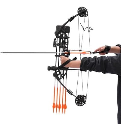 Compound Bow Archery Kit for and Beginner,Hunting Bow Archery Set, 19-30in Draw Length,30-60lbs Draw
