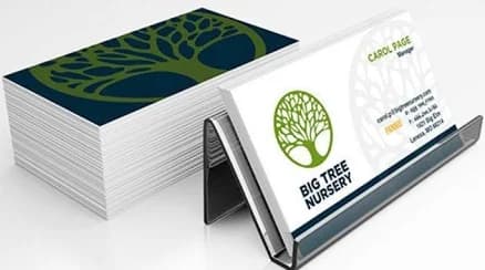 1000pcs Luxe Business Cards