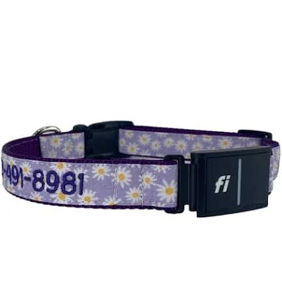 Series 3 Fi Compatible Dog Collar