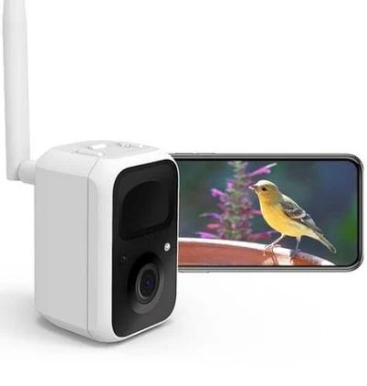 Birdfy Smart Bird Feeder Camera