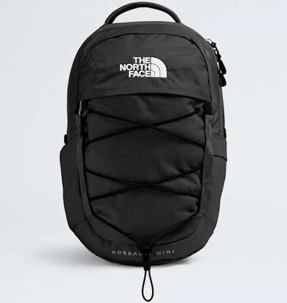 The North Face Borealis Mini Backpack