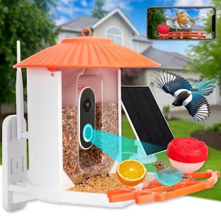 smart bird feeder