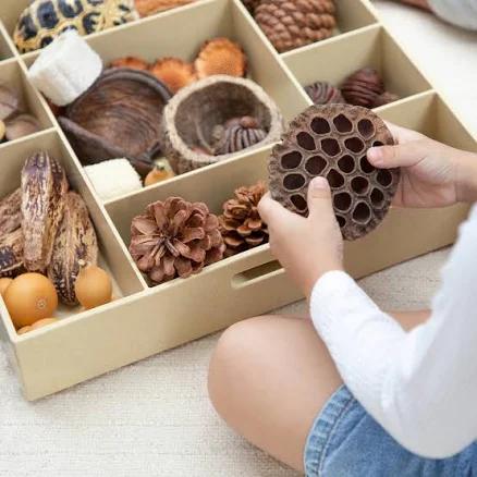 Nature's Geometry Loose Parts STEM Kit