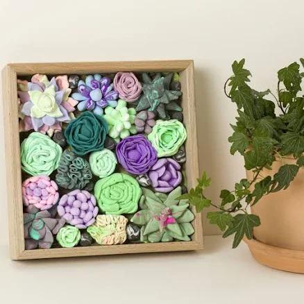 OKTO DIY Wood & Craft Succulents Clay Kit