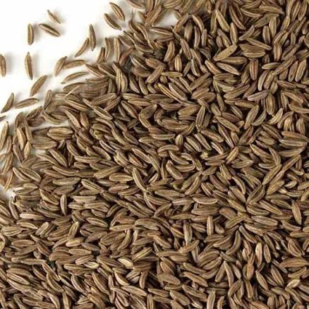 Caraway Seed