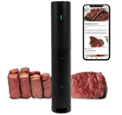 Anova Culinary Precision Mini Sous Vide Cooker Lite AN350US00