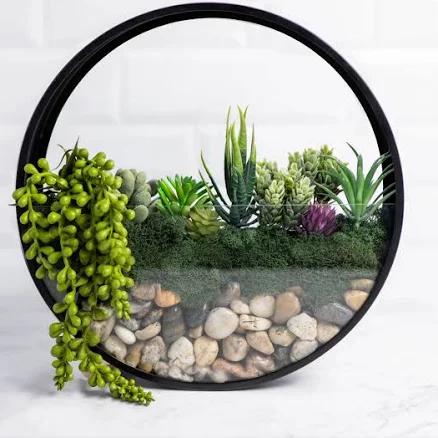 Adults & Crafts Wall Terrarium DIY Craft Kit