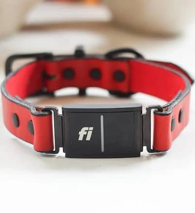 Fi Collar