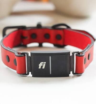 Fi Collar