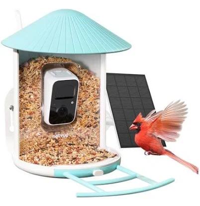 Netvue Camera Arundale Sky Cafe Bird Feeder