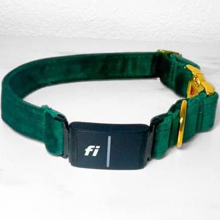 Green Velvet Christmas Fi Compatible Dog Collar