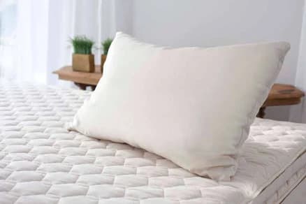 Shredded Latex Pillow