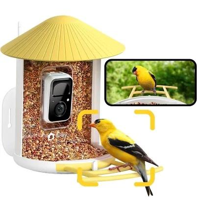 Netvue Birdfy Feeder Fhd Smart Bird Watching Feeder Cam Remote Ni-8101