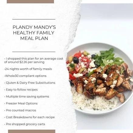 Plandy Mandy's Healthy Family Meal Plan *whole30 compliant (January 2025)