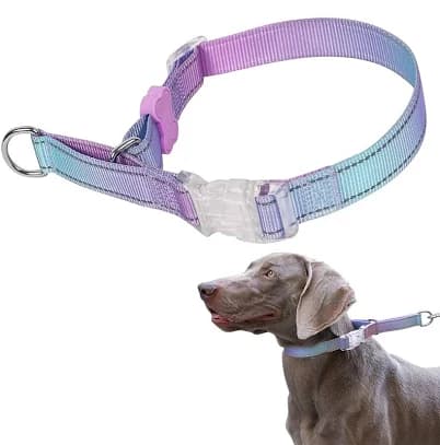 BELLA & PAL Martingale Dog Collar No Slip, Nylon Choke Collar for Dogs, Adjustable Training Collar with Quick-Release Buckle, Reflective,