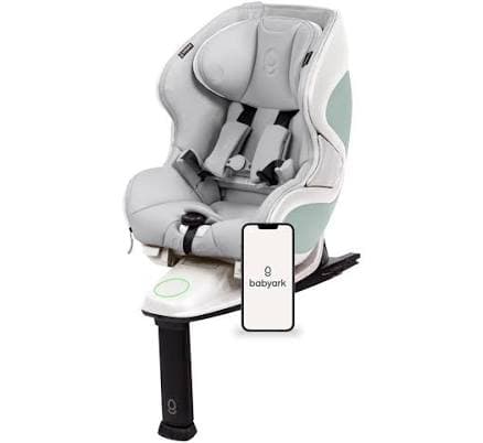 Babyark Smart Convertible Car Seat