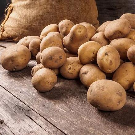 Yukon Gold Organic Potato