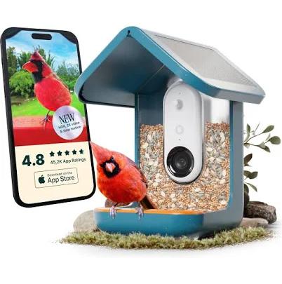 Bird Buddy Pro Solar Smart Bird Feeder