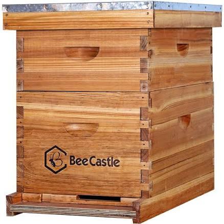 BeeCastle 10-Frames Complete Beehive Kit