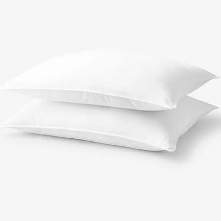 The Company Store Down-Free 2-Pack Pillows White
