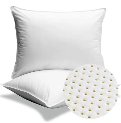 Natural Latex Pincore Pillows