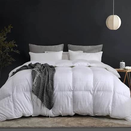 SNOWMAN Lightweight 93% Goose Down Comforter Queen Size,Medium Warmth Fluffy Duvet Insert,100% Egyptian Cotton Shell- 750 Fill Power (Queen,White)