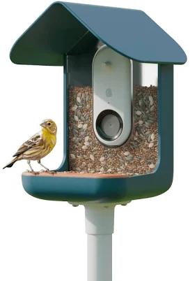 Bird Buddy AI-Powered Smart Bird Feeder