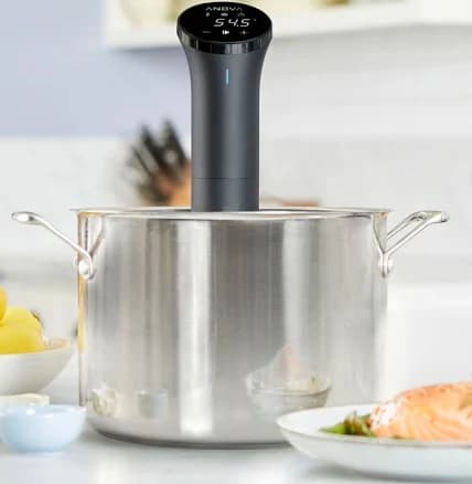 Anova Precision Cooker