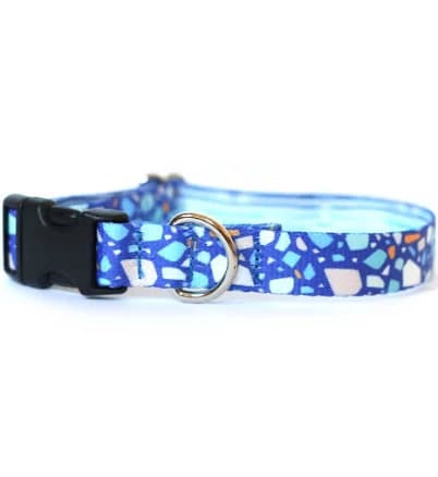 Clive and Bacon Custom Dog Accessories Fi Compatible Dog Collar