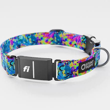 Fi GPS Unit Series 3 Blush Spiral L Pattern Collar