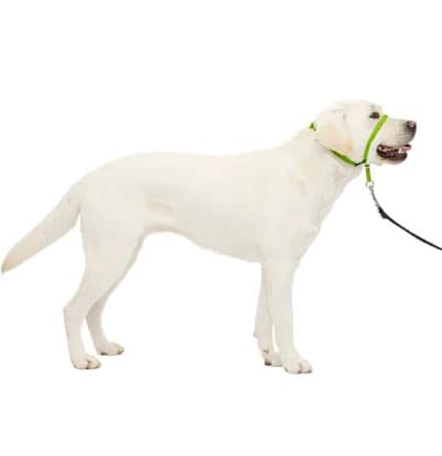 PetSafe Gentle Leader Headcollar