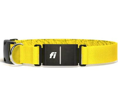 Fi Series 3 Smart Dog Collar