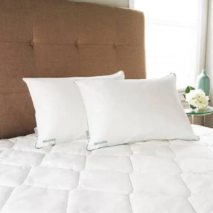 Isotonic Down Alternative Queen Pillow (Set of 2)