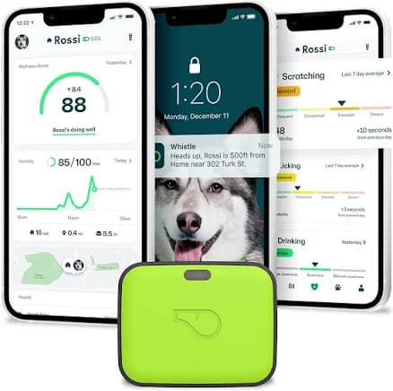 Go Explore/the Ultimate Health + Gps Location Tracker For Pets/green